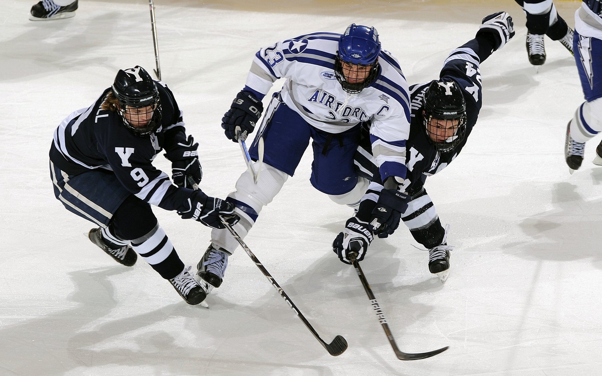 KAIYUNAPP-球场故事：那些令人动容的赛场背后故事，球场故事下载